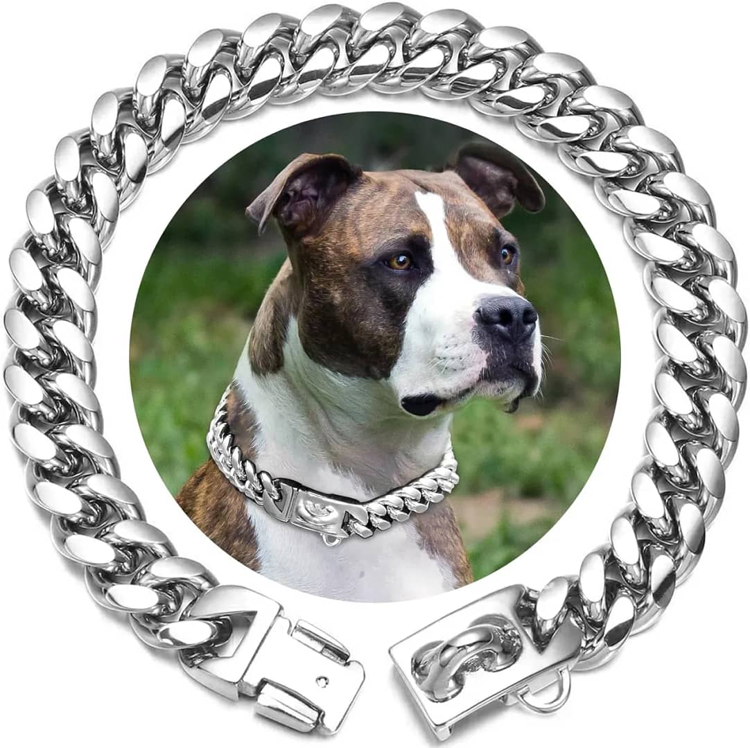 Dog chain collar