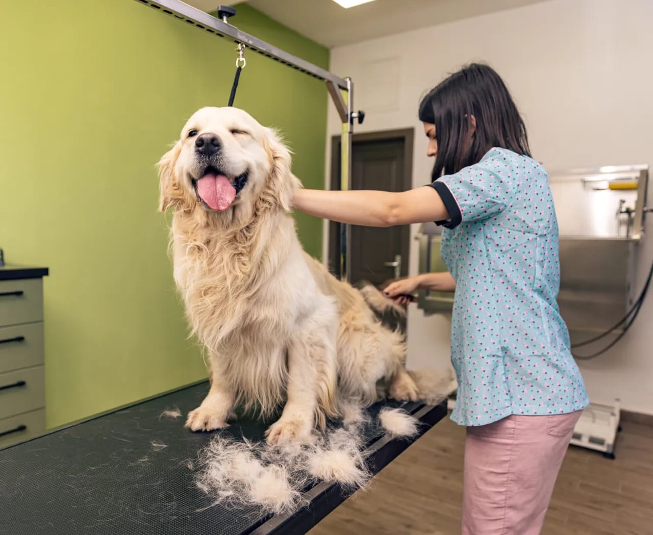 Daily Grooming Techniques for Your Golden Retriever