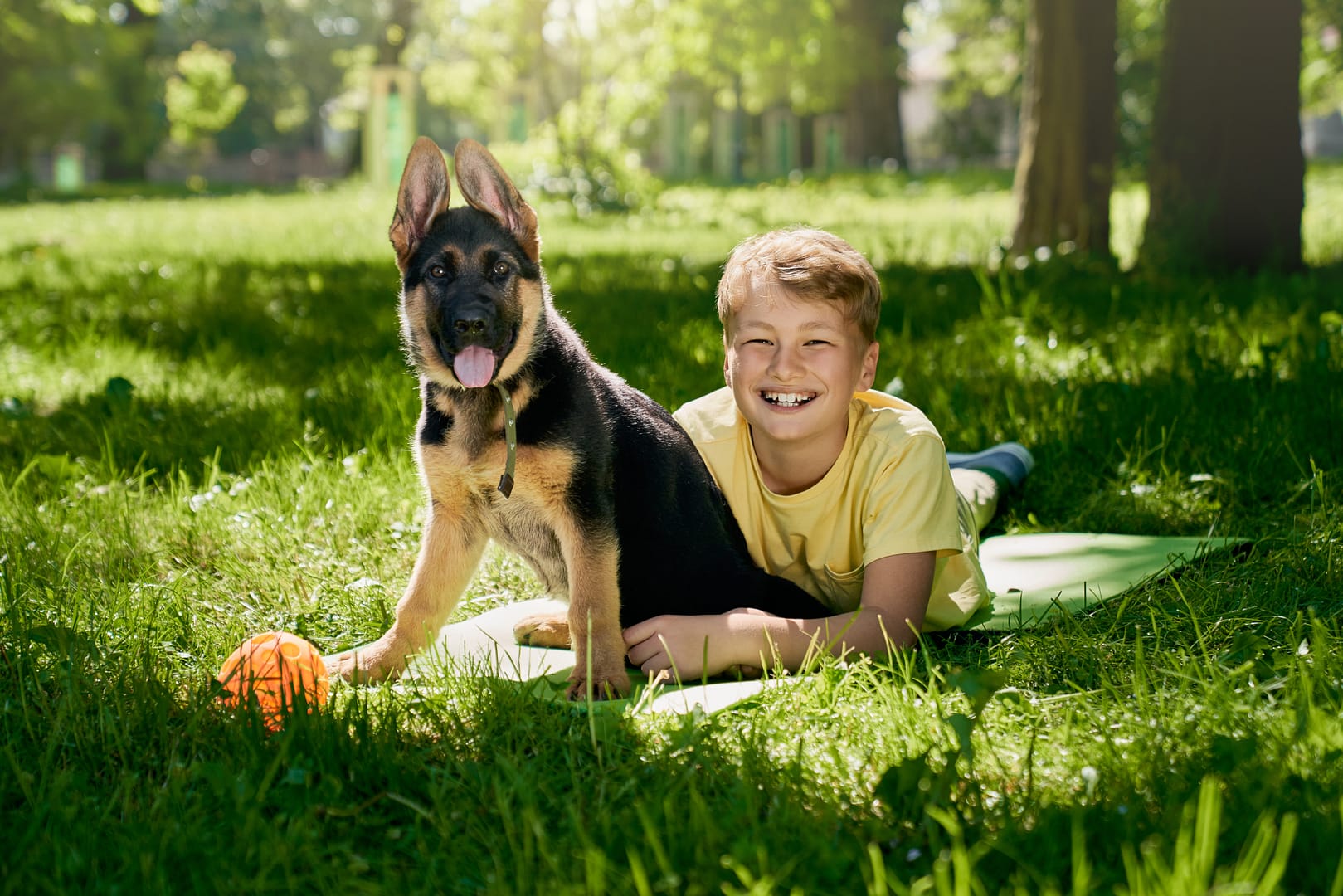 german shepherd puppy with a kid