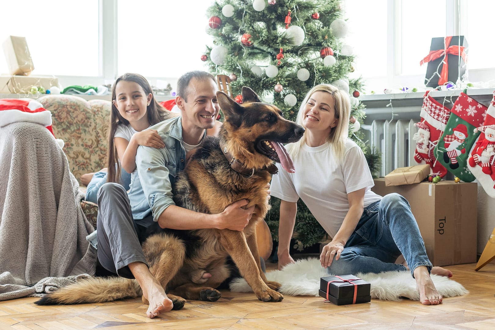 german shepherd family dogs