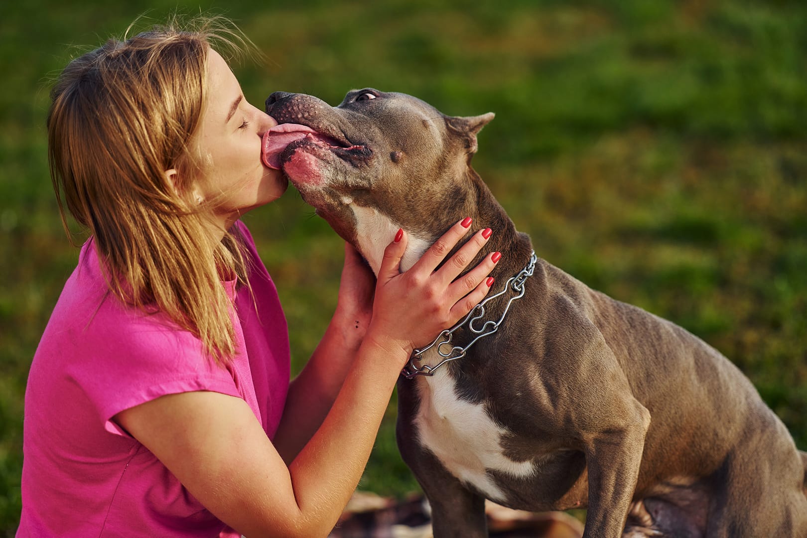 Why do dogs lick you?