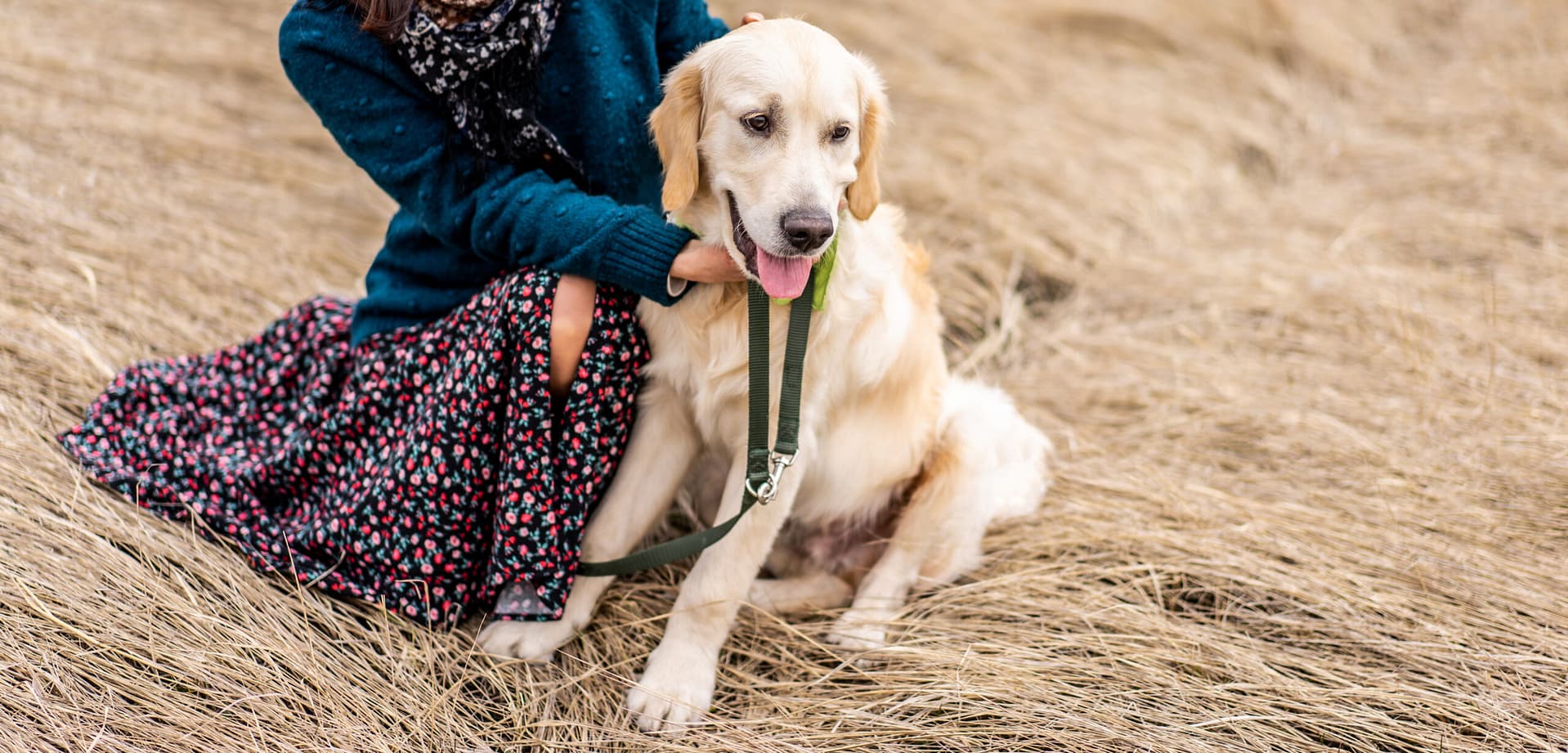 How to take care of a Golden Retriever?