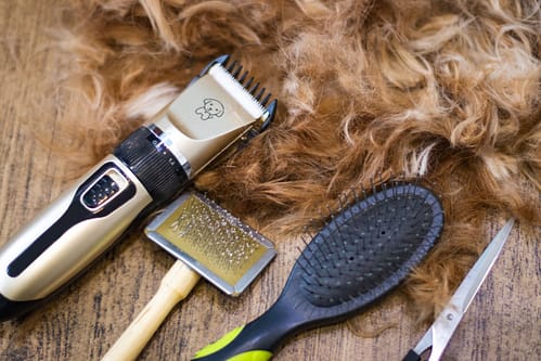 Essential Grooming Supplies Every Golden Retriever Owner Should Have