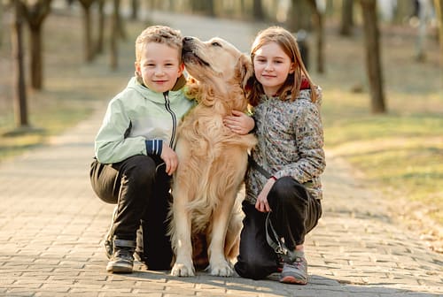 Are Golden Retrievers good with kids?